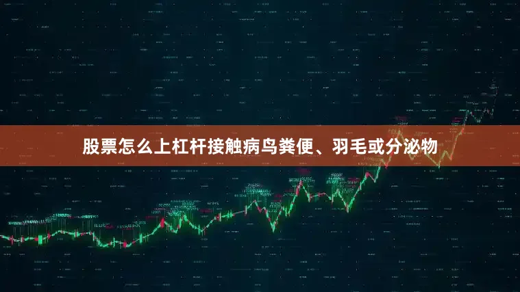 股票怎么上杠杆接触病鸟粪便、羽毛或分泌物
